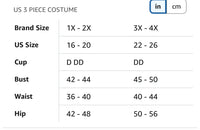 “Ballroom Babe Cinderella “Plus Size Costume 1xl-4XL