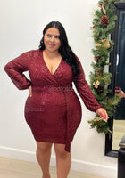 “Curvy & Classy” Sequins Dress